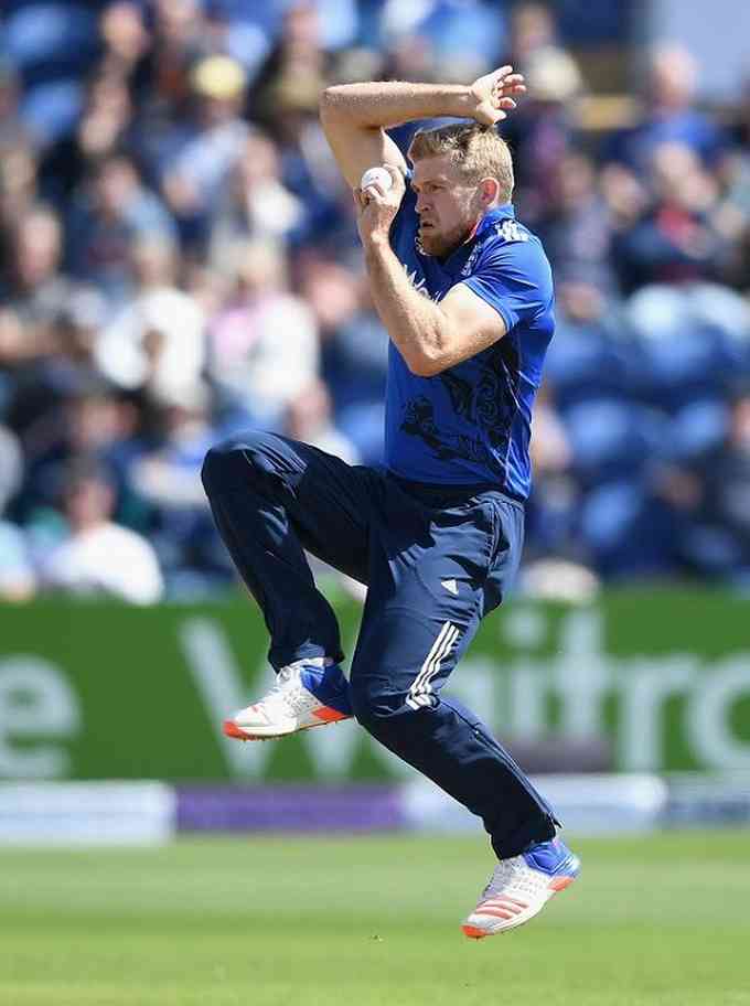 David Willey Images