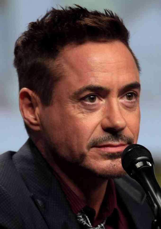 Robert Downey Jr Pic