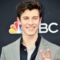 Shawn Peter Raul Mendes Image