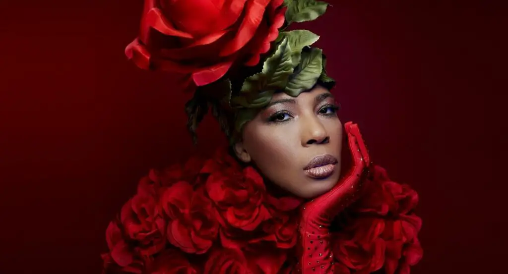 Macy Gray Net worth, Age Weight, Kids, Wife, BioWiki 2024 The Personage