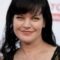 Pauley Perrette weight