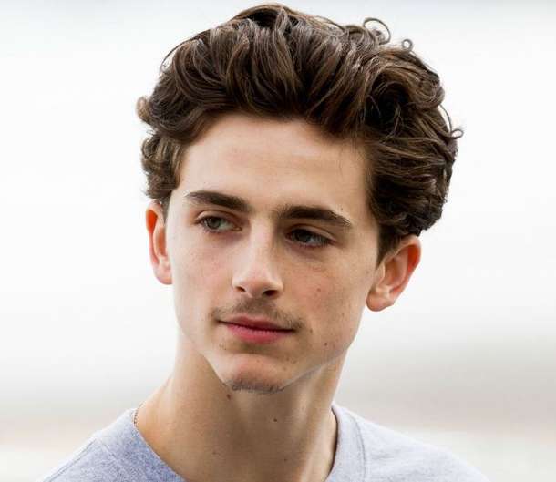Timothee Hal Chalamet Net Worth, Height, Bio, Weight, Age 2024 The